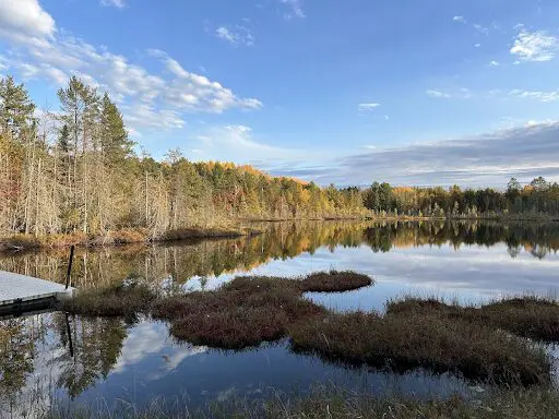 A body of water with trees in the background